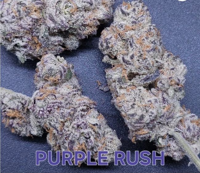 Purple Rush Feminized Seeds