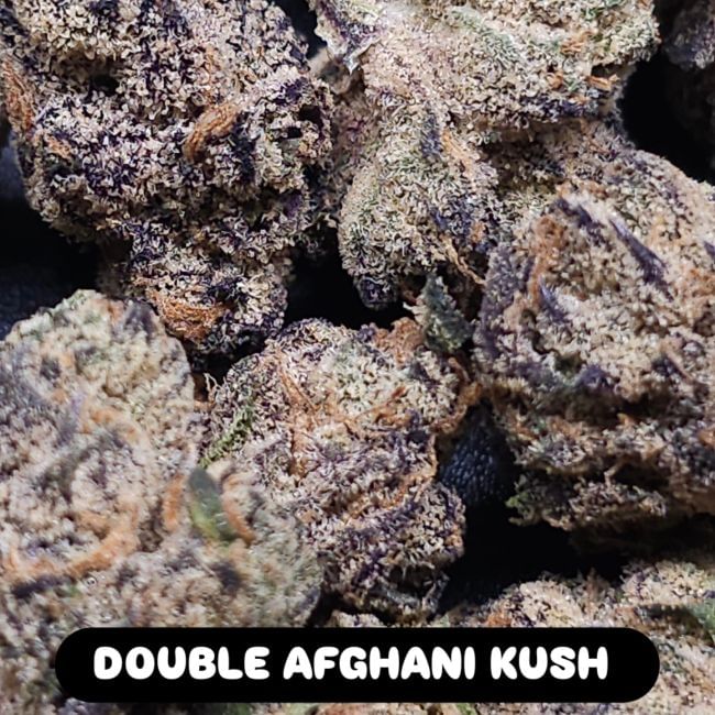 Double Afghani Kush Feminized Seeds