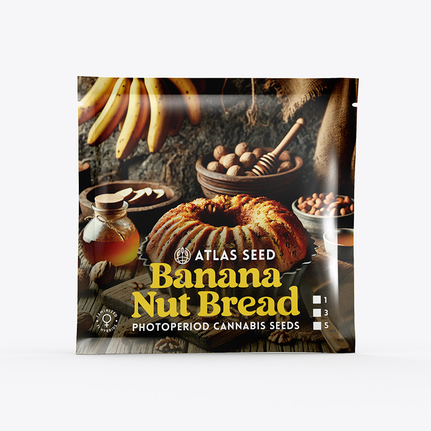 Banana Nut Bread Feminized Seeds