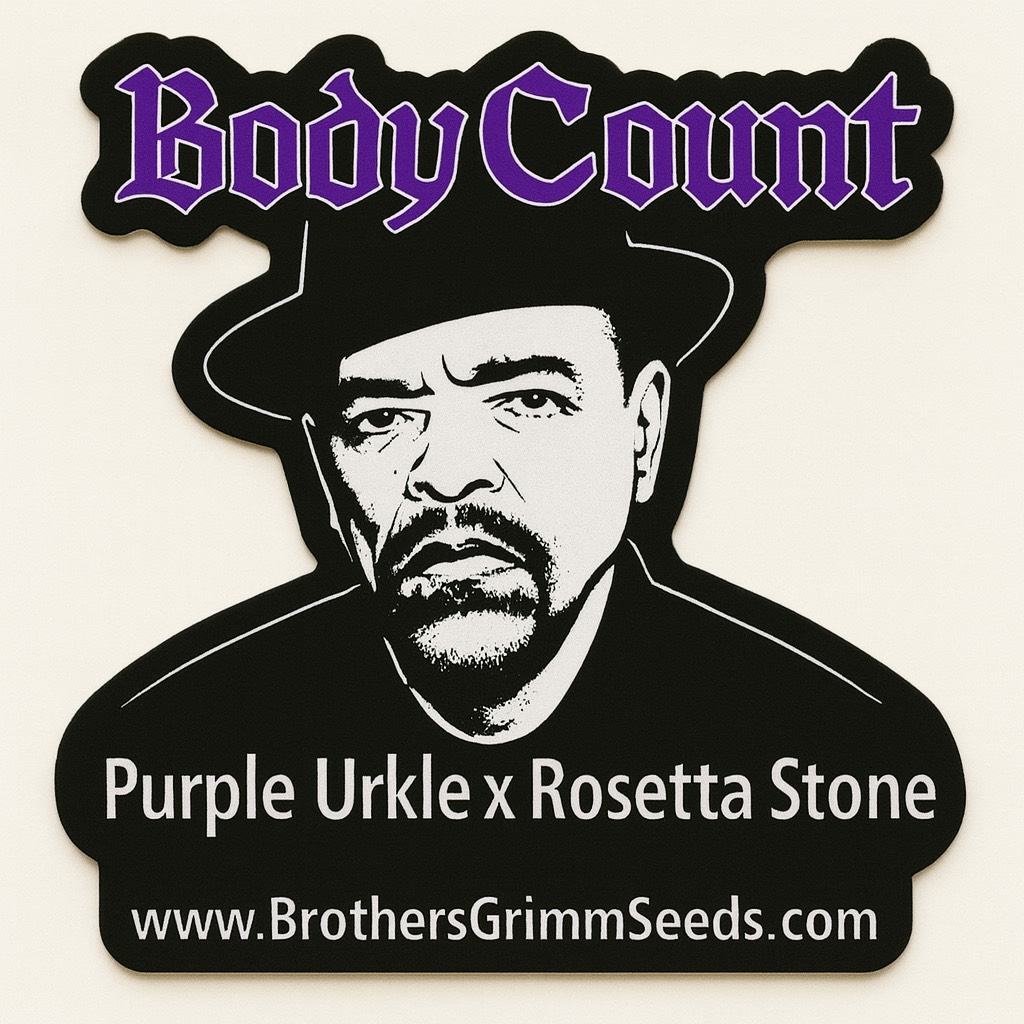 Ice T's BodyCount Feminized Seeds