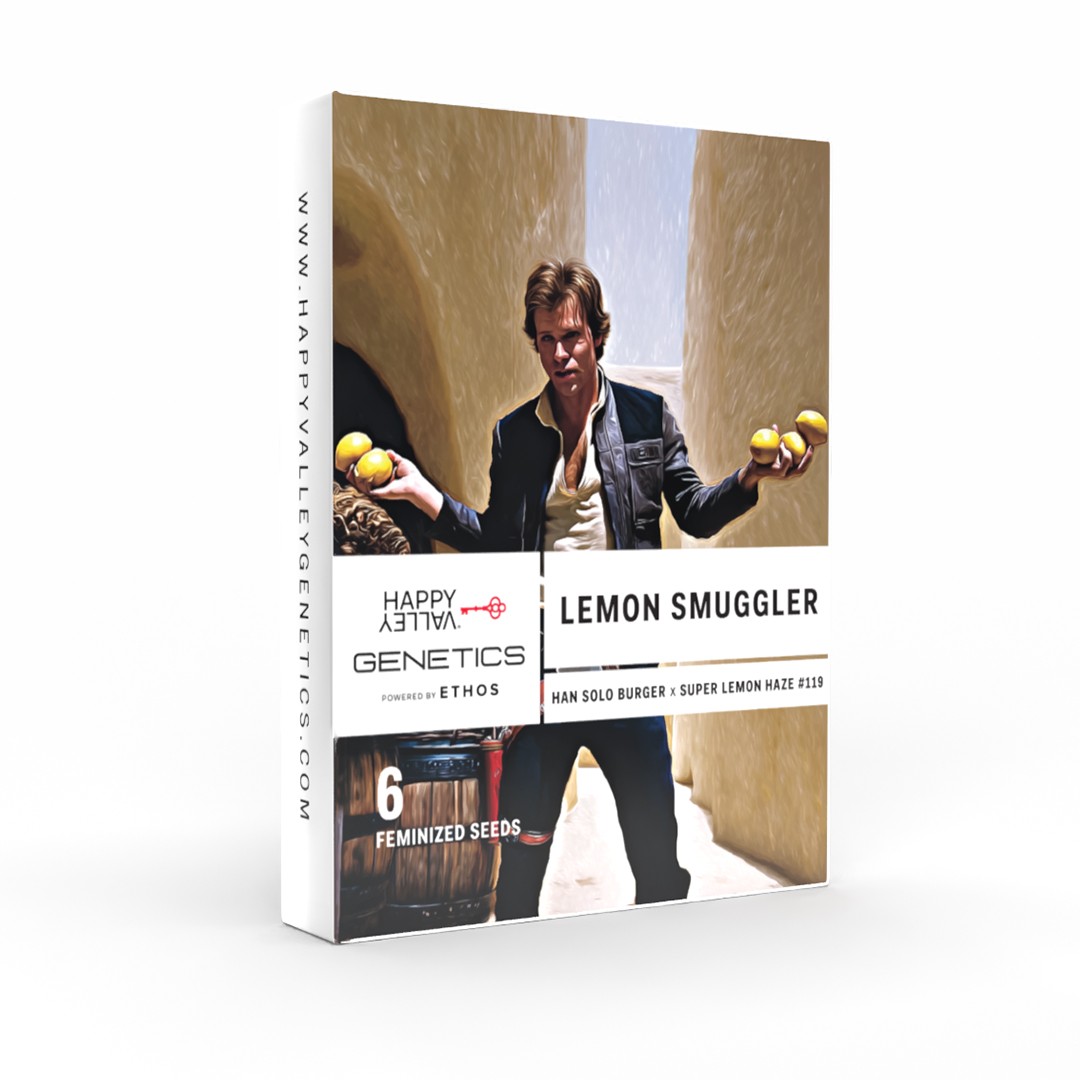 Lemon Smuggler Feminized Seeds