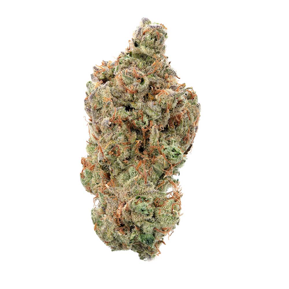 Oh My Thai Auto Feminized Seeds