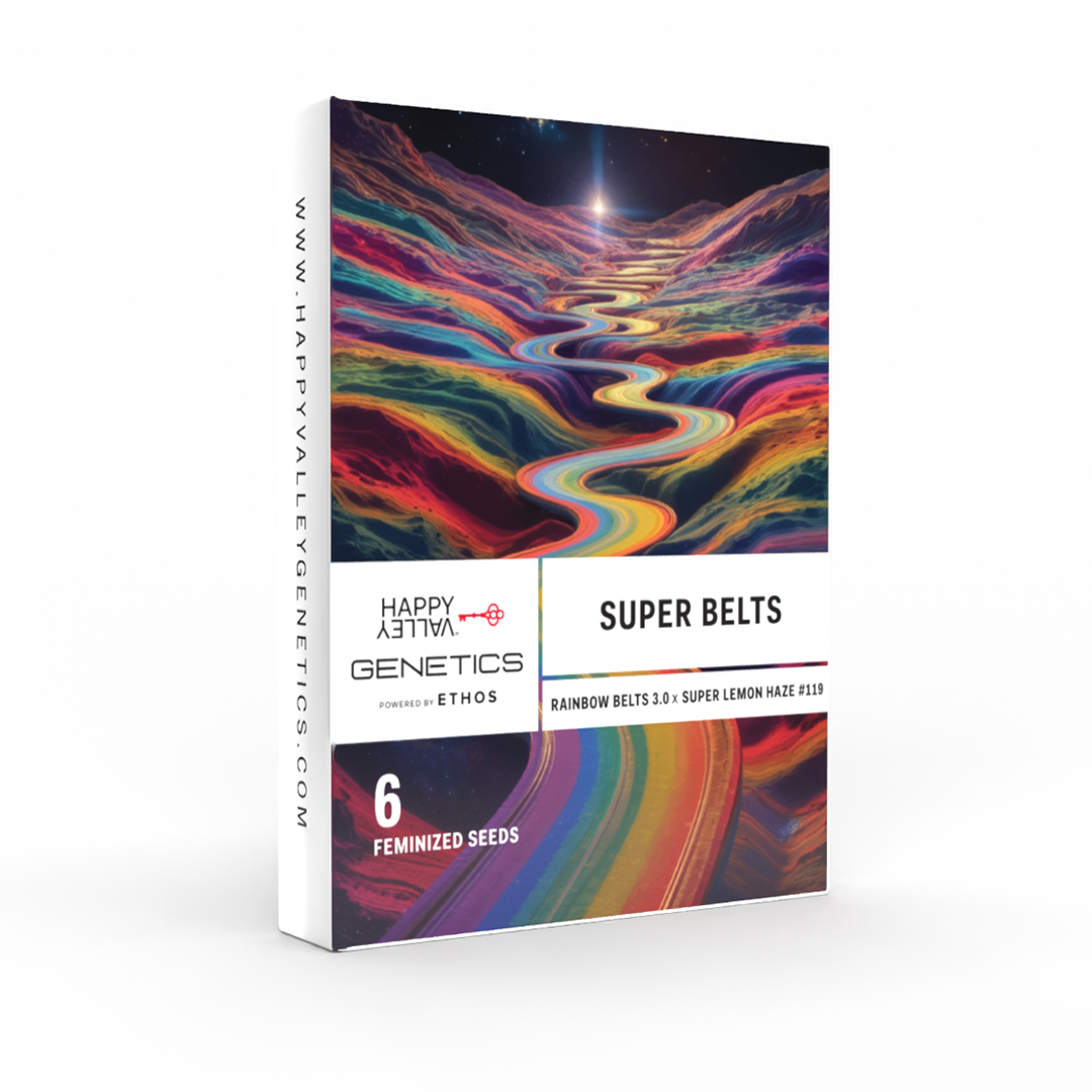 Super Belts Feminized Seeds