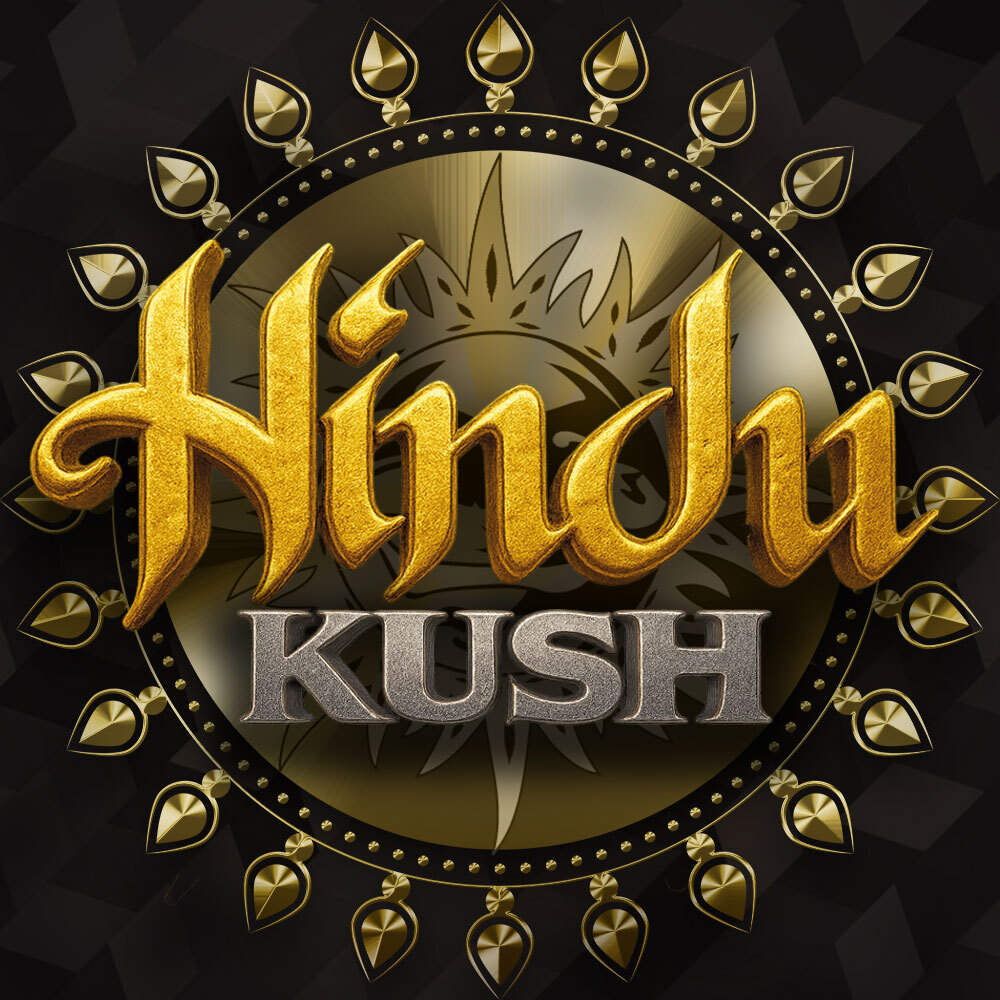 Hindu Kush Feminized Seeds