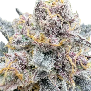 Cherry Cola RF3 Auto Feminized Seeds