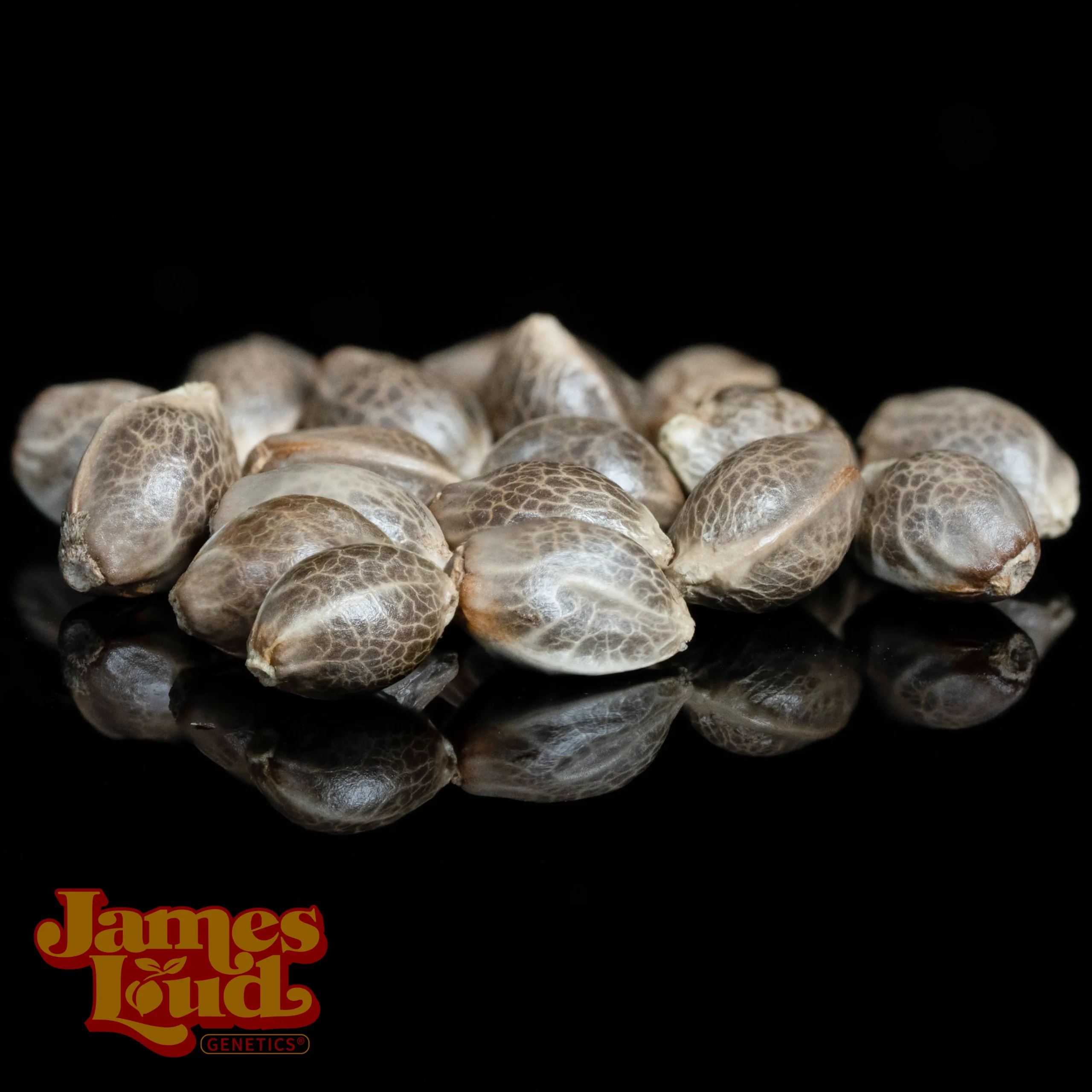 Sour Grape Diesel Feminized Seeds