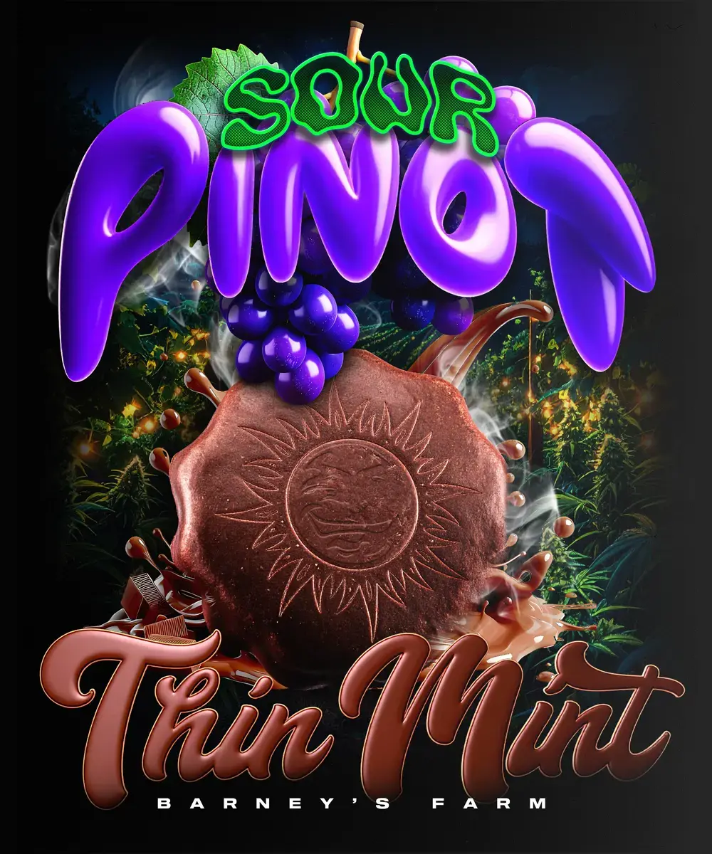 Thin Mint x Sour Pinot Auto Feminized Seeds